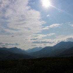 Dempster Highway   24